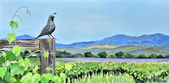 acrylic painting by Catherine McCargar titled Quail on Vineyard Watch