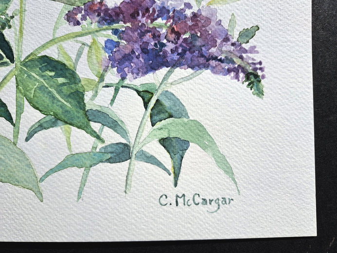 Buddleia Blooms by Catherine McCargar |  Side View of Artwork 