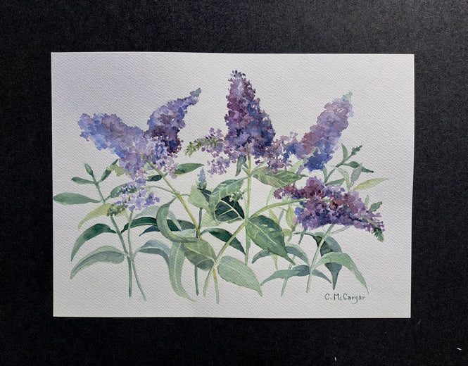 Buddleia Blooms by Catherine McCargar |  Context View of Artwork 