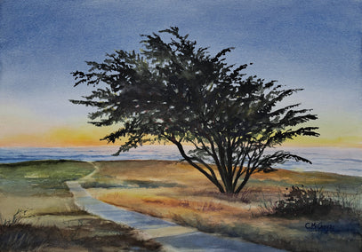 watercolor painting by Catherine McCargar titled Coastal Summer Sunset