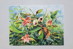 Original art for sale at UGallery.com | Dragonfly and Port Wine Magnolia by Catherine McCargar | $800 | watercolor painting | 11' h x 15' w | thumbnail 3