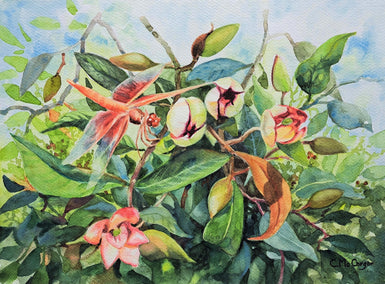 watercolor painting by Catherine McCargar titled Dragonfly and Port Wine Magnolia