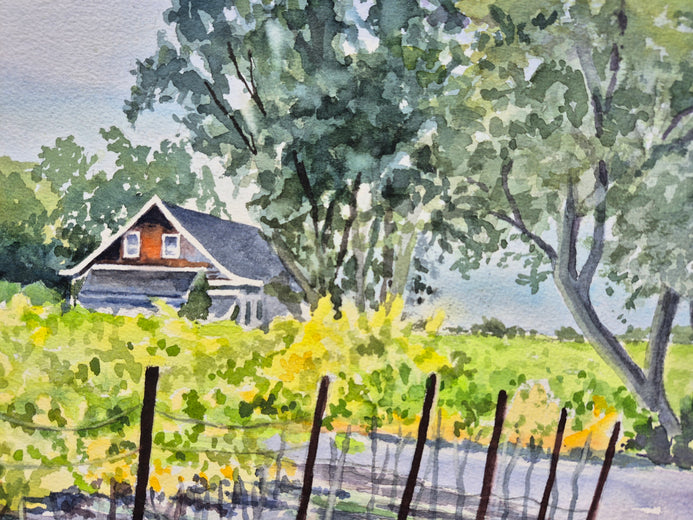 Golden Autumn Vineyard by Catherine McCargar |   Closeup View of Artwork 