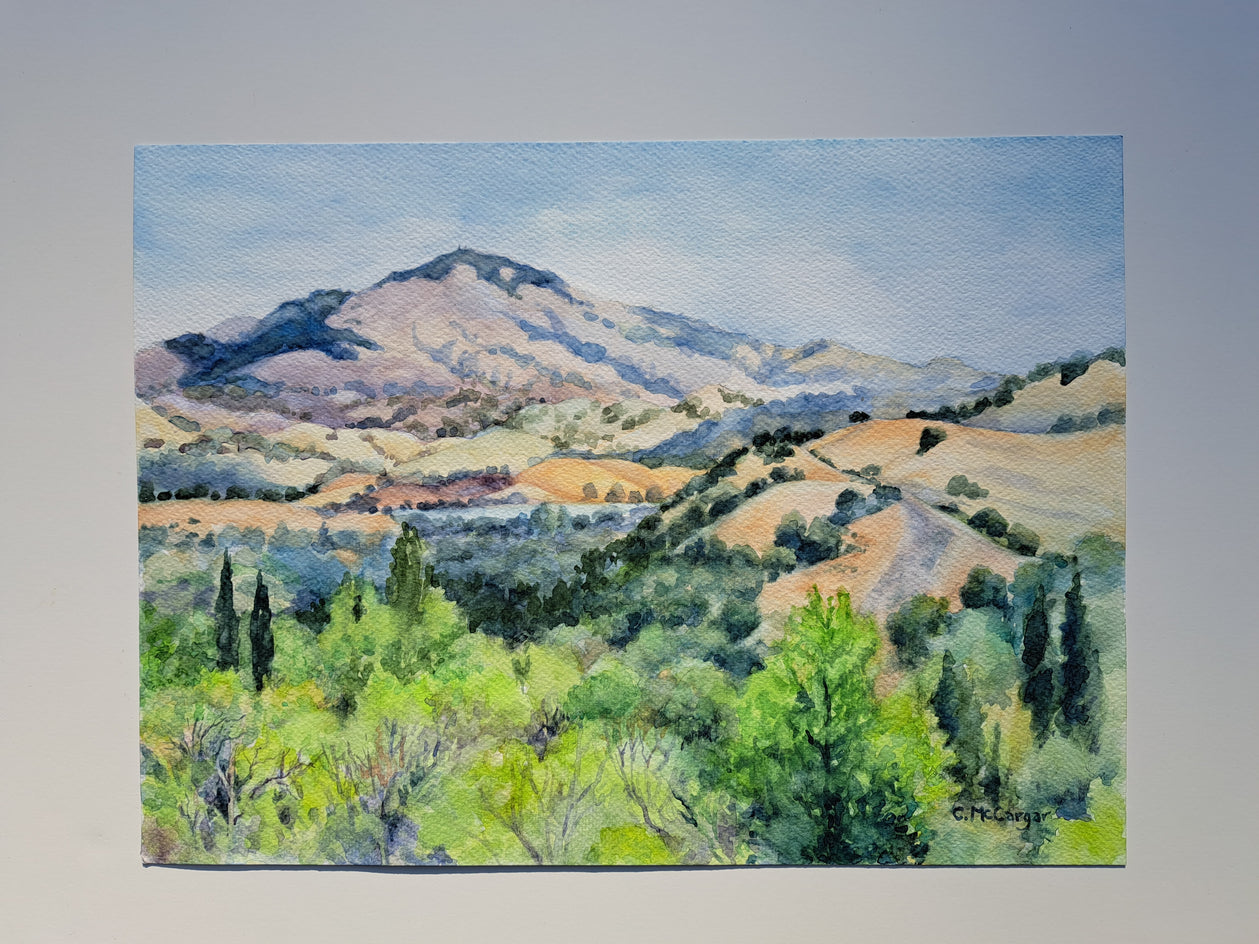 Mt. Diablo Mirage by Catherine McCargar |  Context View of Artwork 