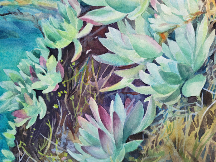 Point Lobos Succulents by Catherine McCargar |   Closeup View of Artwork 
