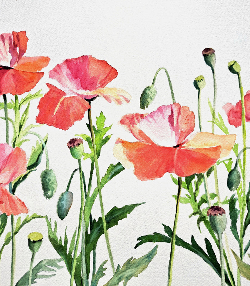 Poppies Aflutter by Catherine McCargar |  Closeup View of Artwork 