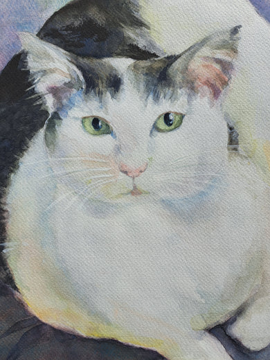 Pretty Kitty by Catherine McCargar |   Closeup View of Artwork 