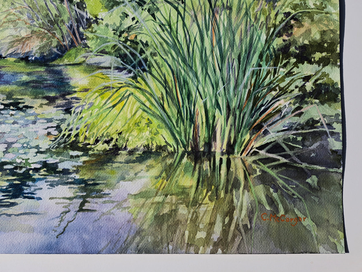 Waterlilies on Lake Temescal by Catherine McCargar |  Side View of Artwork 