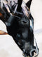Original art for sale at UGallery.com | Going It Alone by Chris Wagner | $2,350 | acrylic painting | 30' h x 48' w | thumbnail 4