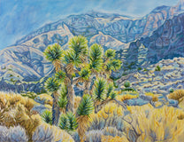 Original art for sale at UGallery.com | The Joshua Tree in the Canyon by Crystal DiPietro | $4,800 | oil painting | 34' h x 44' w | thumbnail 1