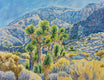 Original art for sale at UGallery.com | The Joshua Tree in the Canyon by Crystal DiPietro | $4,800 | oil painting | 34' h x 44' w | thumbnail 1