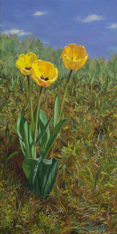 Into the Sun by Dariusz Choinski | Artwork Main Image