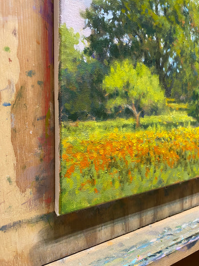Wildflowers West of Marble Falls by David Forks |  Side View of Artwork 