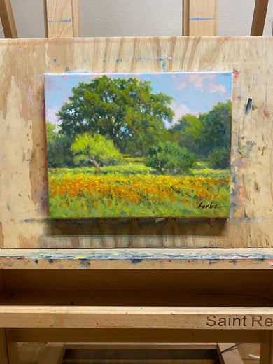 Wildflowers West of Marble Falls by David Forks |  Context View of Artwork 
