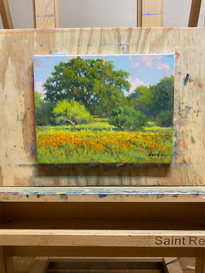 Wildflowers West of Marble Falls by David Forks |  Context View of Artwork 