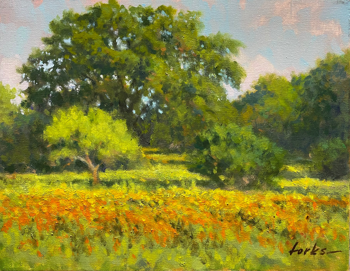 Wildflowers West of Marble Falls by David Forks |  Artwork Main Image 