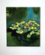 Original art for sale at UGallery.com | Water, Plants and Sunlight II by David Kihlberg | $2,275 | oil painting | 27.5' h x 23.2' w | thumbnail 3