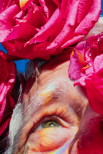 Lazarus by David Shepherd | Artwork Main Image