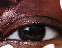 Original art for sale at UGallery.com | Never Going Back by David Shepherd | $17,225 | oil painting | 48' h x 48.25' w | thumbnail 4