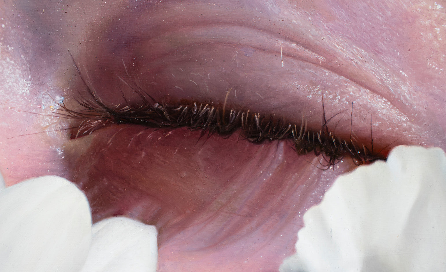 Within and Without by David Shepherd |  Closeup View of Artwork 