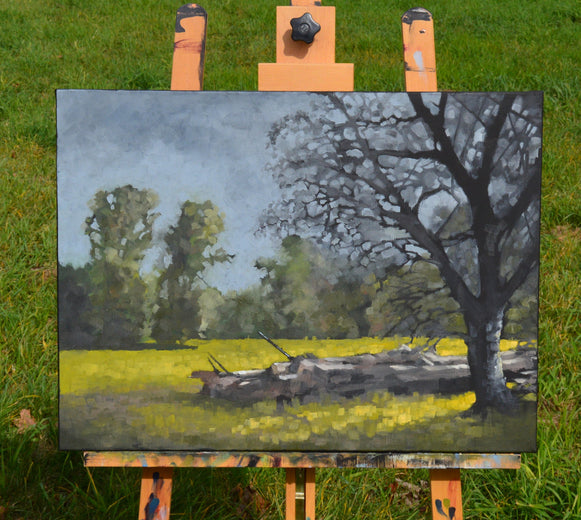 Fallen Timber by David Thelen |  Context View of Artwork 