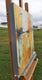 Original art for sale at UGallery.com | Yellow by Dorothy Gaziano | $850 | oil painting | 20' h x 20' w | thumbnail 2