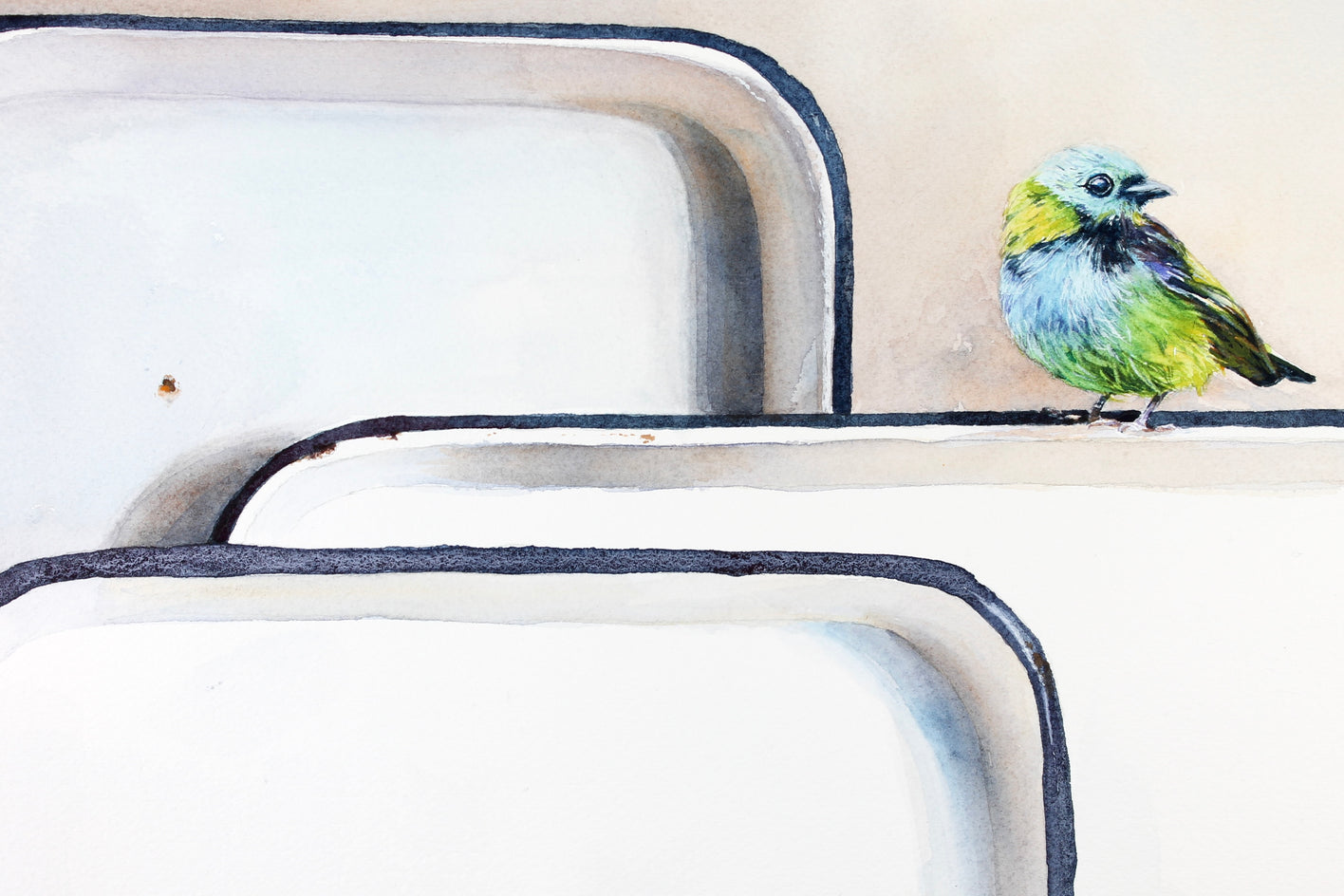 Cliff Face Nest by Dwight Smith |  Closeup View of Artwork 