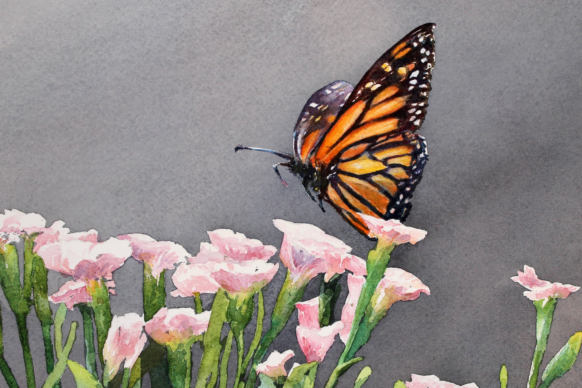 Helping Wings by Dwight Smith watercolor painting UGallery
