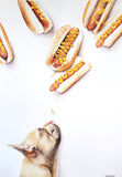 Original art for sale at UGallery.com | Dogs! by Dwight Smith | $550 | watercolor painting | 20' h x 14' w | thumbnail 1