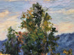 Original art for sale at UGallery.com | Santa Ana Gold by Elizabeth Garat | $800 | oil painting | 16' h x 20' w | thumbnail 4