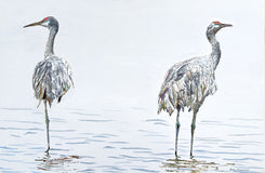 Original art for sale at UGallery.com | Alone Together by Emil Morhardt | $1,925 | acrylic painting | 24' h x 36' w | thumbnail 1