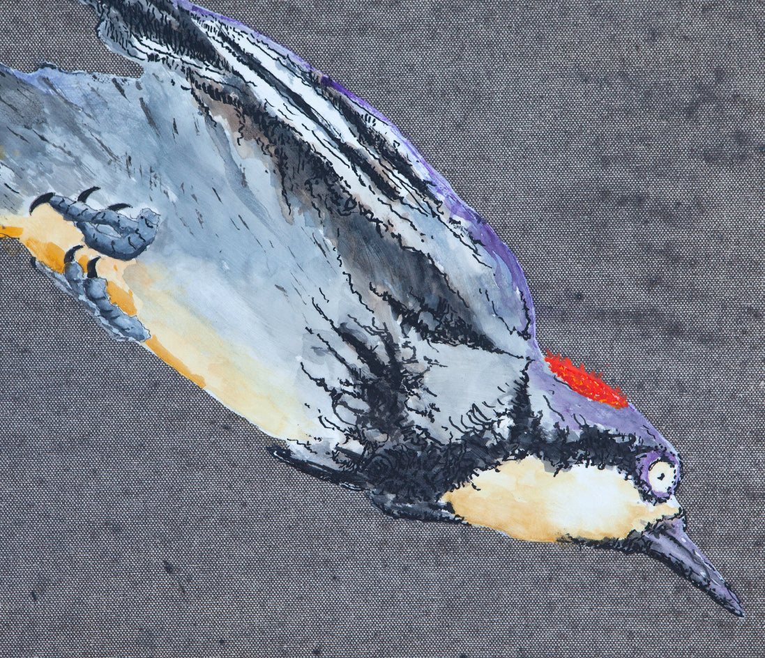 Diving Woodpeckers by Emil Morhardt |  Closeup View of Artwork 