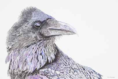 Raven Skeptic by Emil Morhardt | Artwork Main Image