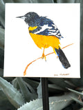 Original art for sale at UGallery.com | Scott's Oriole Searching by Emil Morhardt | $350 | acrylic painting | 8' h x 8' w | thumbnail 3