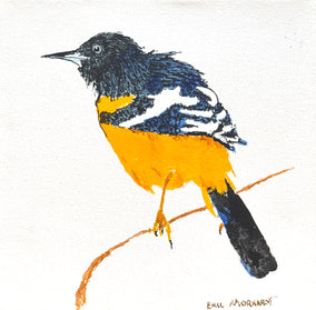 Original art for sale at UGallery.com | Scott's Oriole Searching by Emil Morhardt | $350 | acrylic painting | 8' h x 8' w