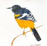 Original art for sale at UGallery.com | Scott's Oriole Searching by Emil Morhardt | $350 | acrylic painting | 8' h x 8' w | thumbnail 1