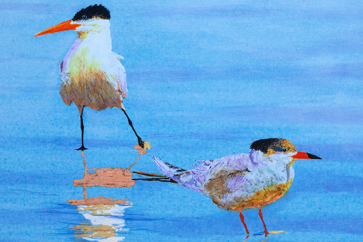 Two Tentative Terns by Emil Morhardt |  Closeup View of Artwork 