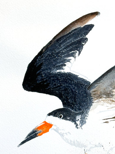 Hard Landing by Emil Morhardt |   Closeup View of Artwork 