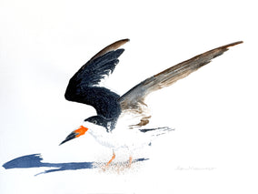 Original art for sale at UGallery.com | Hard Landing by Emil Morhardt | $325 | watercolor painting | 12' h x 16' w