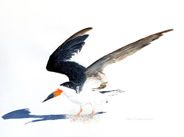 watercolor painting by Emil Morhardt titled Hard Landing
