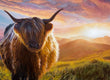 Original art for sale at UGallery.com | Paradise Found by Eric Vanasse | $2,650 | oil painting | 24' h x 36' w | thumbnail 4