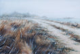 Original art for sale at UGallery.com | Foggy October. by Erika Kocsi | $500 | watercolor painting | 7' h x 11' w | thumbnail 1