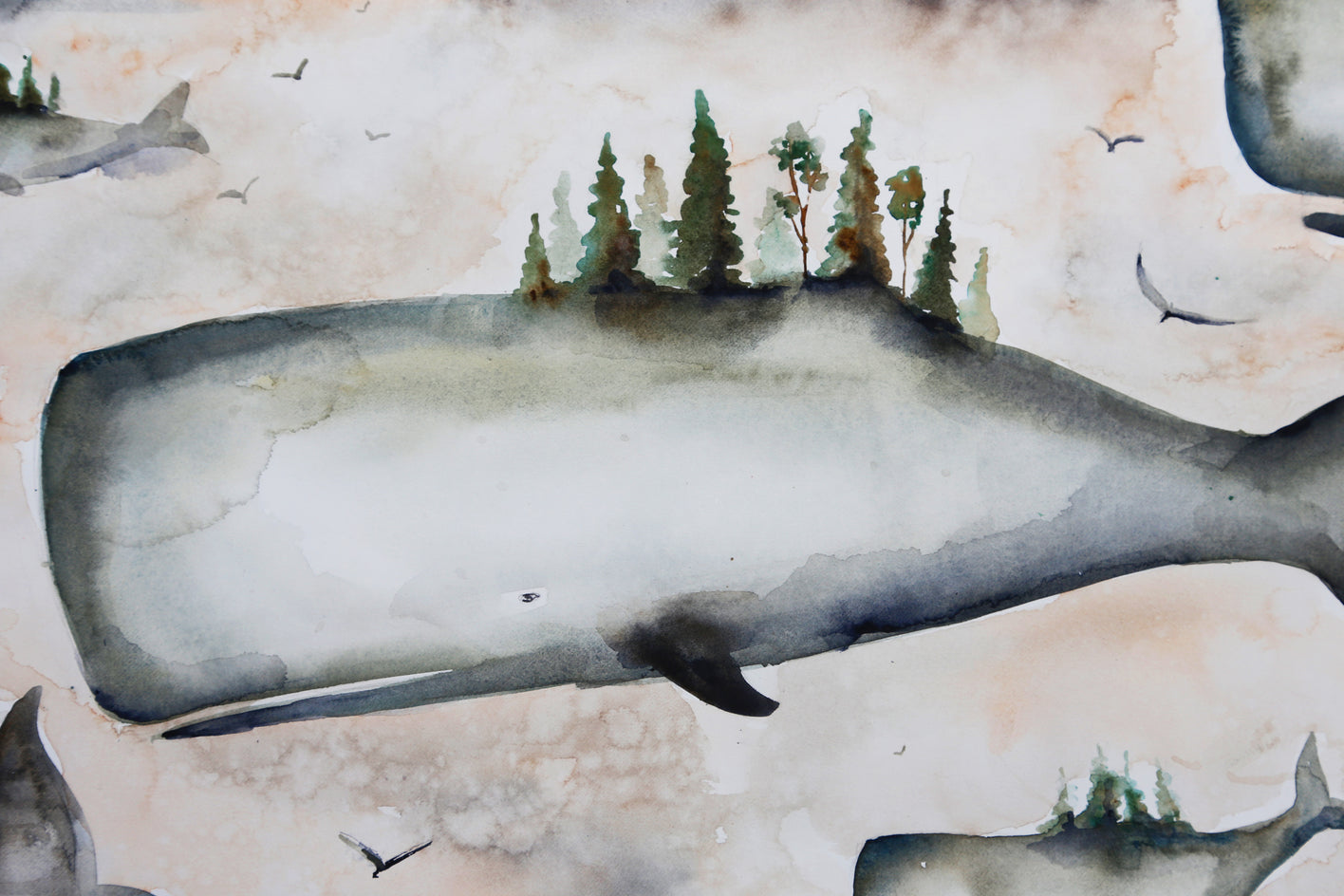 Whales Sunrise by Evgenia Smirnova |  Closeup View of Artwork 