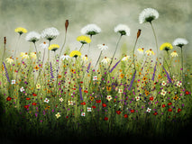 Original art for sale at UGallery.com | Wild Flower Series by Fernando Garcia | $3,975 | oil painting | 30' h x 40' w | thumbnail 1