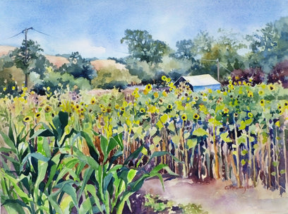 Girasoli nel Giardino by Catherine McCargar | Artwork Main Image