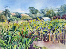 Original art for sale at UGallery.com | Girasoli nel Giardino by Catherine McCargar | $575 | watercolor painting | 12' h x 16' w | thumbnail 1