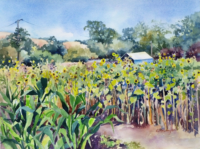 Girasoli nel Giardino by Catherine McCargar |  Artwork Main Image 