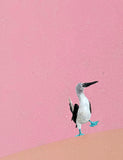 Original art for sale at UGallery.com | Blue-Footed Booby by Heejin Sutton | $525 | gouache painting | 12' h x 6' w | thumbnail 4