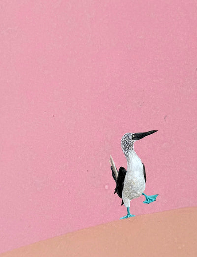 Blue-Footed Booby by Heejin Sutton |   Closeup View of Artwork 