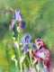 Original art for sale at UGallery.com | Purple Irises by Hilary Gomes | $625 | oil painting | 12' h x 9' w | thumbnail 1